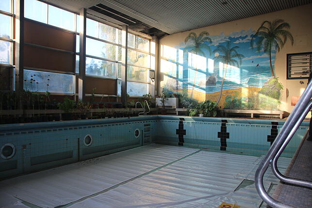 Das Schwimmbad Bräunlingen: Seit 2003 kann hier nicht mehr gebadet werden. Wie es weiter geht, ist noch offen.