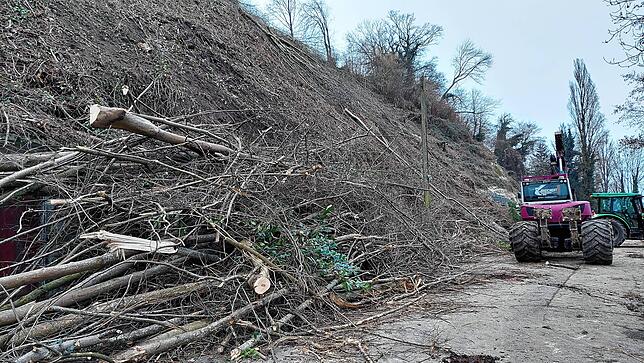(Archivbild) So sah der Hang oberhalb der Hoheneggstraße, hinter der Brauerei Ruppaner, im Februar 2025 aus. Damals hatten die Arbeiten ...