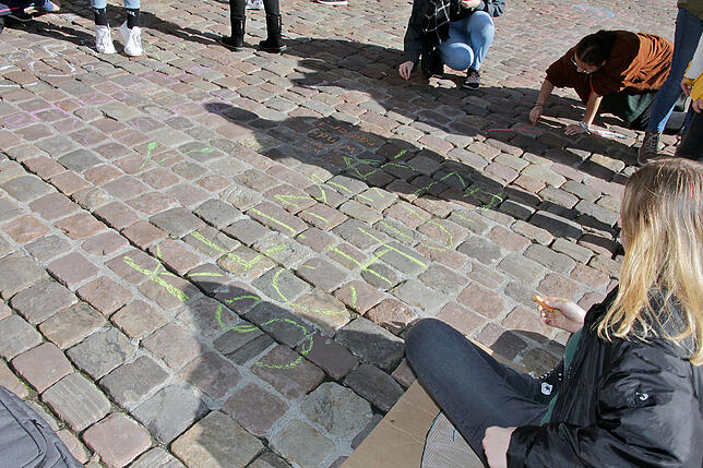 Bild 18: Impressionen von der Fridays for Future-Demo in Villingen