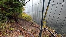 Die Absperrung kurz vor der Erich-Pohl-Kanzel. Dahinter wird es richtig gefährlich, da die Treppen morsch sind. Im Bereich hinter der ...