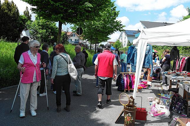 Bild 12: Bilder vom Fest der Betriebsamkeit in Friedrichshafen-Kluftern