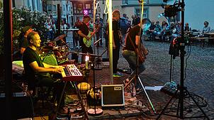 Geben alles für das wenige Publikum im Schlosshof: Die Band Blues Inc. aus dem Oberschwäbischen weiß alle Register des Blues zu ziehen. ...