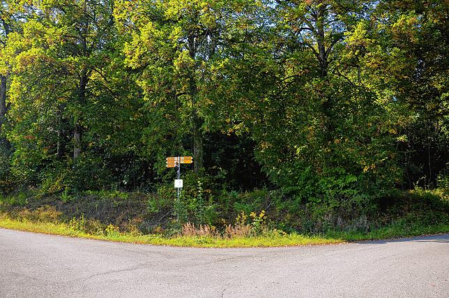 An der Abzweigung zum Prälatenweg in Richtung Uhldingen-Mühlhofen ist ein Hang, aus dem Wasser Richtung Kloster abgeführt