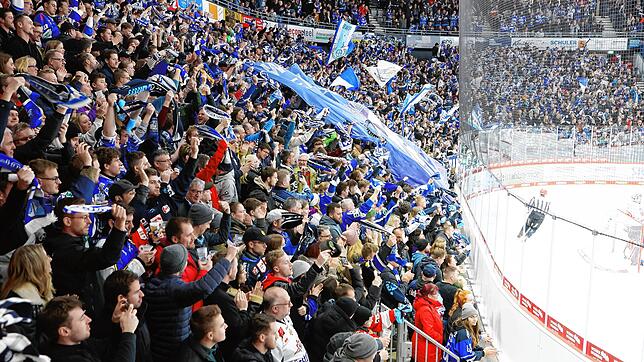 Die Fans der Wild Wings sorgten in den vergangenen Wochen mehrfach für hervorragende Stimmung auf den Rängen. Zuletzt hatten sie ...