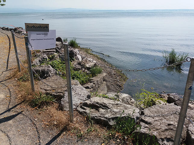 Da wo der Buchenbach in den Bodensee fließt riecht es übel.