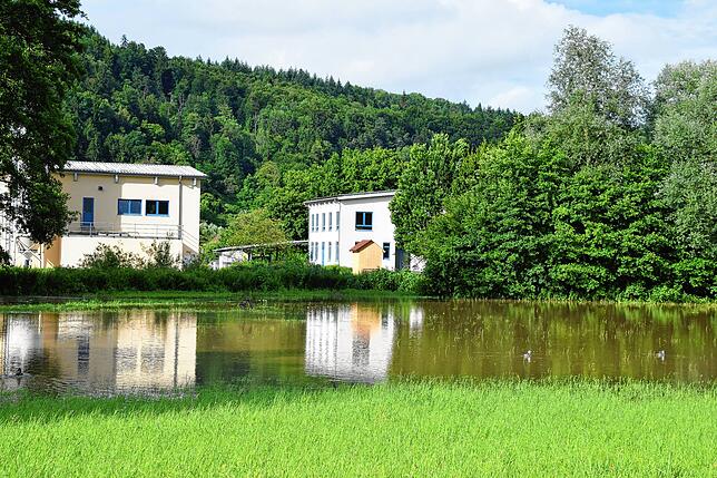 Die überflutete Wiese bei der Kläranlage zwischen Espasingen und Bodman am 13. Juli.