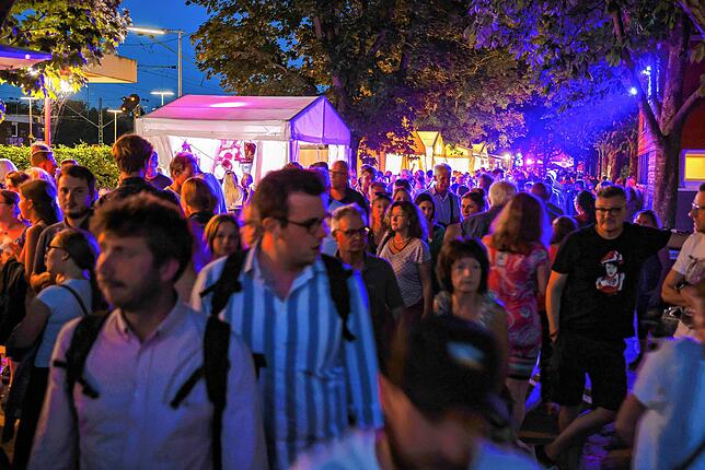Bild 24: Festabend Radolfzeller Hausherrenfest am Seeufer