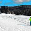 Viel Platz haben die Langläufer auf den Loipen im Schönwälder Schwarzenbach.