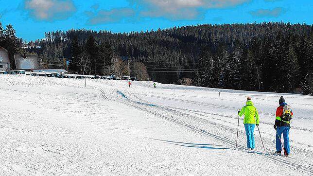 Viel Platz haben die Langläufer auf den Loipen im Schönwälder Schwarzenbach.