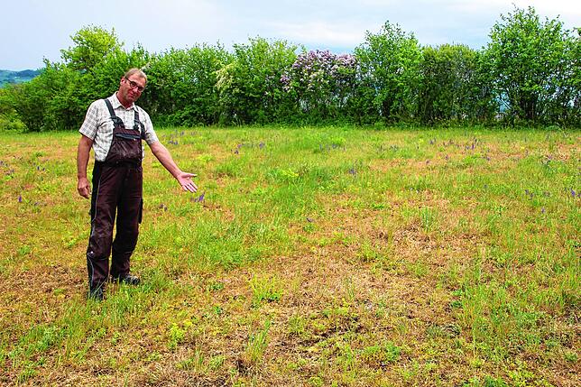 Emil Veit zeigt vor einigen Wochen auf eine ausgetrocknete Weidewiese auf dem Engener Ballenberg.