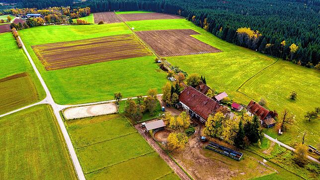 Das Areal der geplanten Solaranlage bei den Spitalhöfen.