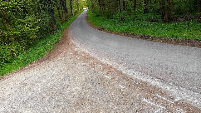 An diese Stelle am Gemeindeverbindungsweg zwischen Hilzingen und Singen ist am Dienstag, 4. Mai, ein 41 Jahre alter Radfahrer tödlich ...