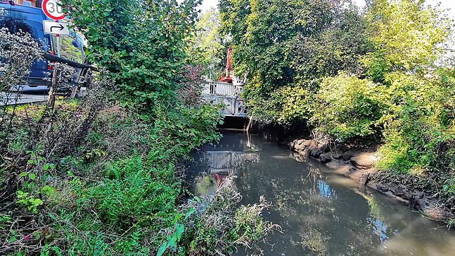 Der Kanal der Seefelder Aach in Mühlhofen am vergangenen Mittwoch. Weil aus bislang unbekannten Gründen das Wasser abgelassen wurde, ...
