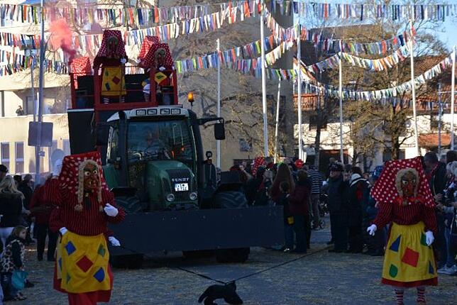 Bild 7: Bilder vom Narrentreffen der Urviecher-Zunft Bad Dürrheim: Großer Festumzug (4)