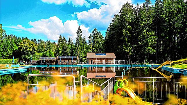 Wie geht es weiter in Sachen Badeaufsicht im Naturfreibad? Darum ging es bei der Bürgerversammlung. Foto: Gemeindeverwaltung