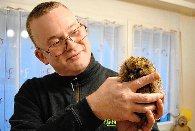 Thomas Binkert päppelt seit Jahren kleine Igel auf. Aktuell werden viele dehydrierte Tiere in seine Igelstation in Tiengen gebracht. ...