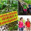 Die Marienschlucht ist seit acht Jahren gesperrt und wird es auch noch eine Weile bleiben. Bei einem exklusiven Spaziergang mit ...