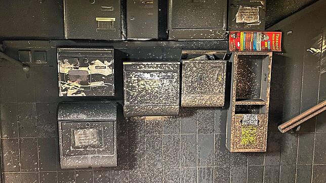 Die Feuerwehr Konstanz hat am Samstagmorgen (28. März 2020) einen größeren Gebäudebrand in der Cherisystraße im Stadtteil Petershausen ...