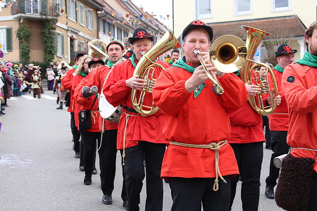 Bild 11: So schön war der Umzug am Fasnetsunntig in Markdorf