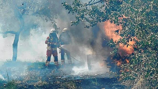 Die Feuerwehr im Einsatz beim Waldbrand in Wallbach. Gebrannt hatte es auf einem Grundstück in der Nähe des Sportplatzes in der Feldstraße.