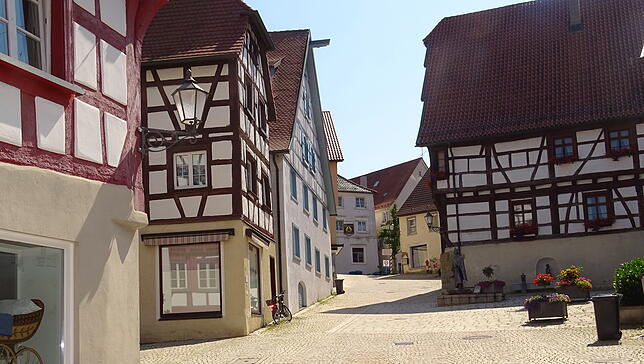 Vor dem Bindhaus steht jetzt der Delphinbrunnen, der früher beim Gasthaus „Weißer Ochsen“ plätscherte.