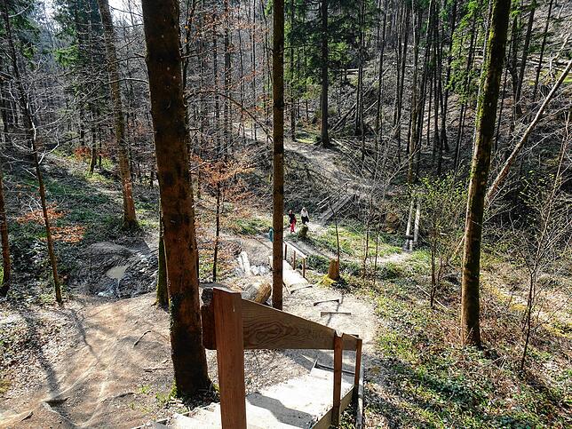 Zwischen „Fünfländerblick“ und dem Wanderparkplatz Vogelsang wird der Wald zum Abenteuerspielplatz.