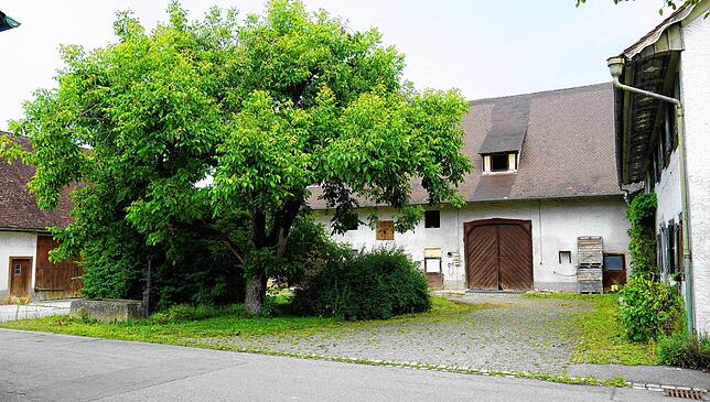 Der Kehlhof (auch Kell&ndash; Kapitels&ndash; oder Kelnhof genannt) war während des Bauernkrieges von März bis April 1525 Hauptquartier ...