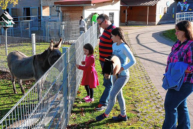 Bei schönem Wetter kommt Familie Teichmann gerne zu den Tieren beim Therapiestall der Nachsorgeklinik. Hier schaut einer der Esel bei ...