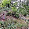 An dieser Stelle durchbricht ein Forstweg den gut zwei Meter hohen Wall der ehemaligen Ehrenburg. Aber: Man muss schon von der Existenz ...