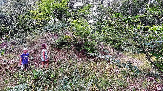 An dieser Stelle durchbricht ein Forstweg den gut zwei Meter hohen Wall der ehemaligen Ehrenburg. Aber: Man muss schon von der Existenz ...