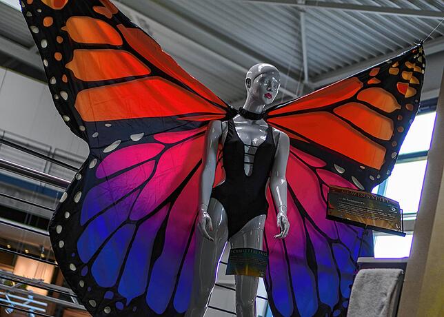 Geflügelt: Der Schmetterling scheint bereit, jederzeit abzuheben. Er ist einer der viele wundervollen Wesen, welche die Traumfabriken ...