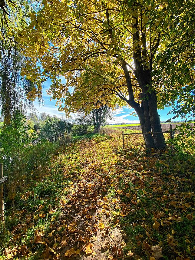 Bild 19: So schön ist der Herbst im Schwarzwald und auf der Baar