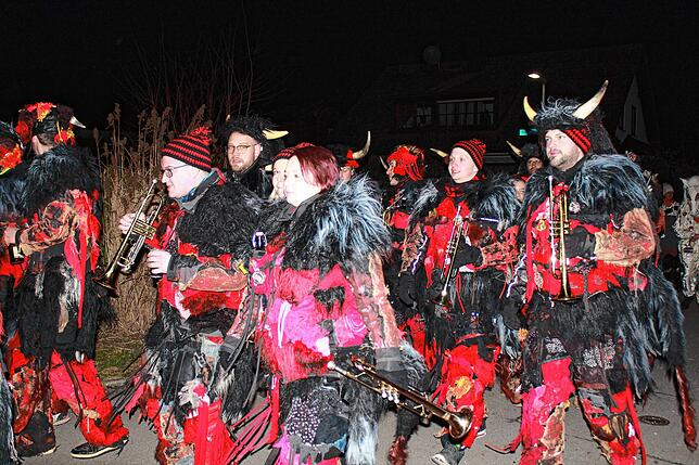 Bild 13: Bilder vom Narrentreffen in Nenzingen (Teil 2)