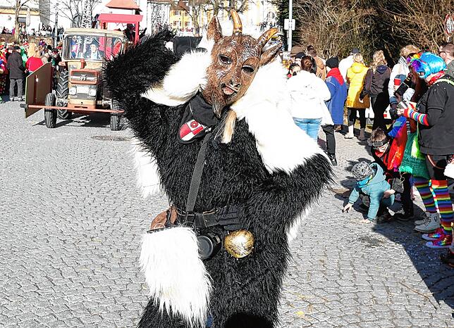 Bild 26: Tausende feiern beim Fasnachts-Umzug durch die Innenstadt