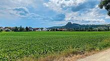 Das Neubaugebiet Bettenäcker in Schlatt unter Krähen soll Wohnraum für 46 Familien schaffen. Nicht jeder findet dieses Vorhaben gut.