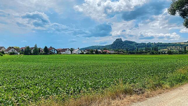Dieses Gebiet im Singener Stadtteil Schlatt unter Krähen soll mit Einfamilienhäusern und Doppelhaushälften bebaut werden. Dorfbewohner ...