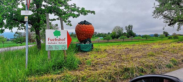 Immer der Erdbeere nach: zum Fuchshof in Dingelsdorf-Oberdorf.