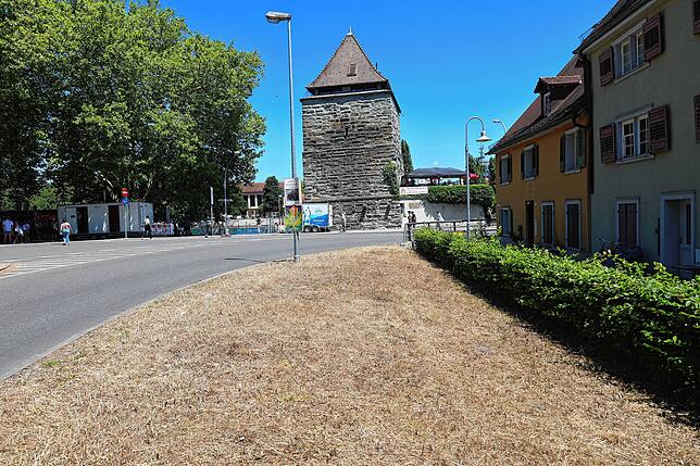 Bild 6: Der Flohmarkt geht in den Endspurt: Konstanz und Kreuzlingen sind voll mit begeisterten Besuchern