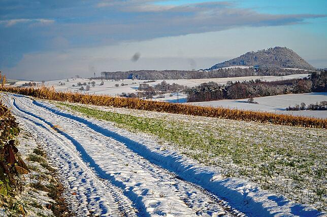 Bild 8: So schön war der erste Schnee im Hegau!