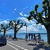 Lädt das Wetter am langen Wochenende zu einem sonnigen Spaziergang wie hier am vergangenen Freitag an der Konstanzer Seestraße ein? Ganz ...