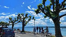 Lädt das Wetter am langen Wochenende zu einem sonnigen Spaziergang wie hier am vergangenen Freitag an der Konstanzer Seestraße ein? Ganz ...