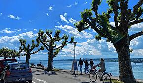 Lädt das Wetter am langen Wochenende zu einem sonnigen Spaziergang wie hier am vergangenen Freitag an der Konstanzer Seestraße ein? Ganz ...