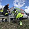 Feuerwehr und Tierrettung bringen den verletzten Biber von der Kanalisation an der B&nbsp;34 am Ortsanfang von Ludwigshafen zu einem ...
