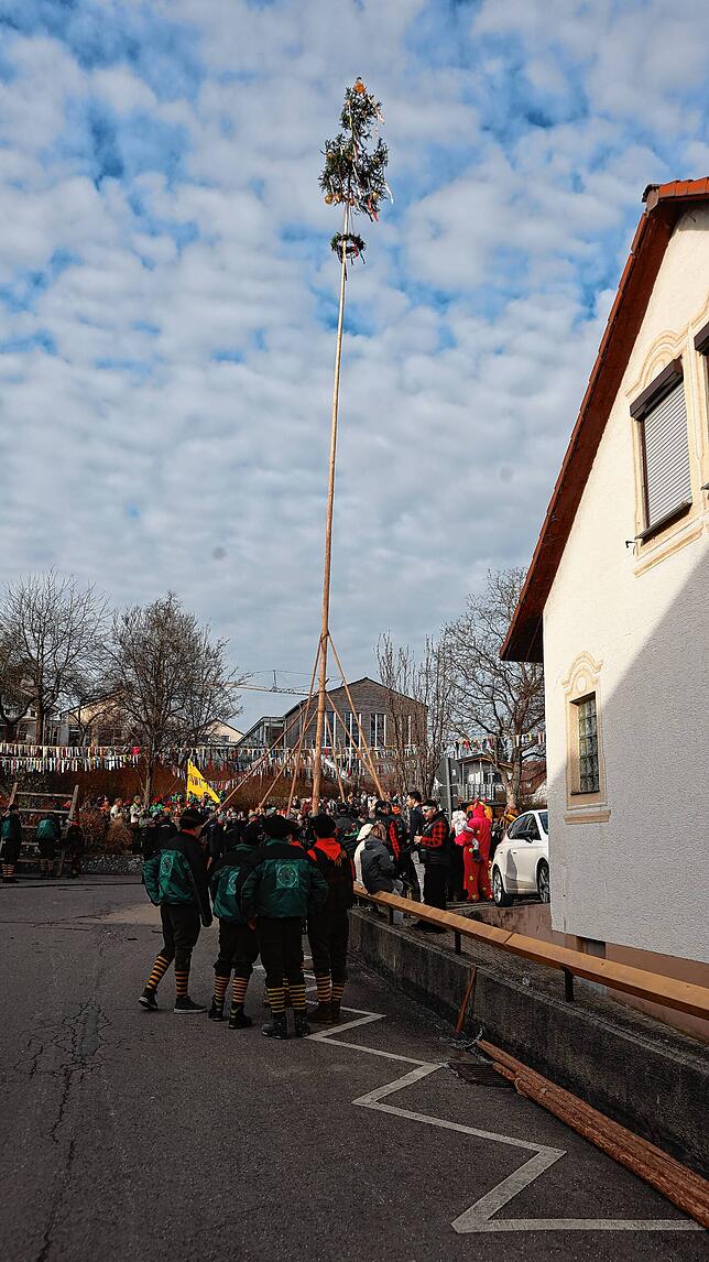 Bild 24: Seenarrentreffen in Dettingen: Auf dem Dorfplatz steht jetzt der Narrenbaum