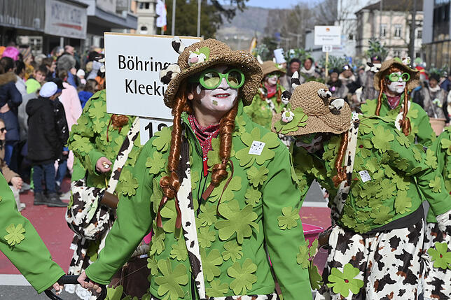 Bild 3: Bilder vom Radolfzeller Fastnachtsumzug