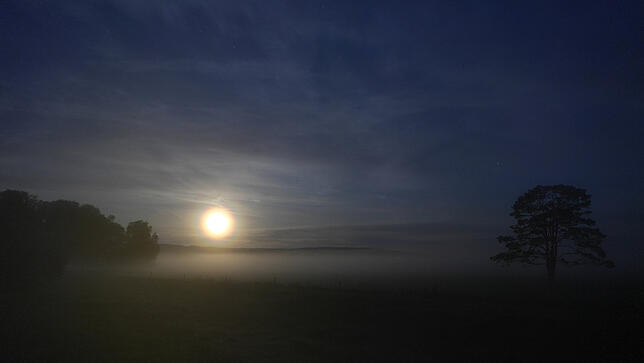 Morgens, 5 Uhr: Monduntergang am Wollmatinger Ried.