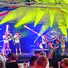 Bild :
