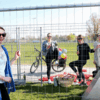 Bild :