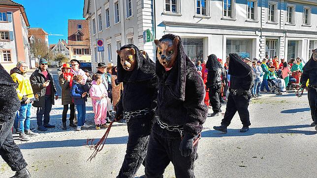 Bild 10: Fasnet 2025: Die besten Bilder vom Umzug in Hüfingen