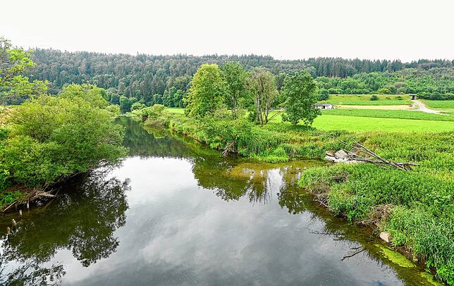 Die Donau bei Immendingen.